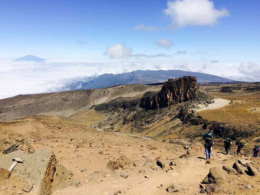 Kilimanjaro