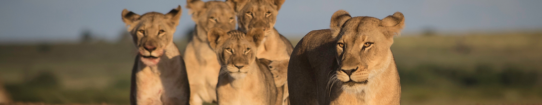 What to wear on Tanzania Wildlife Safari?