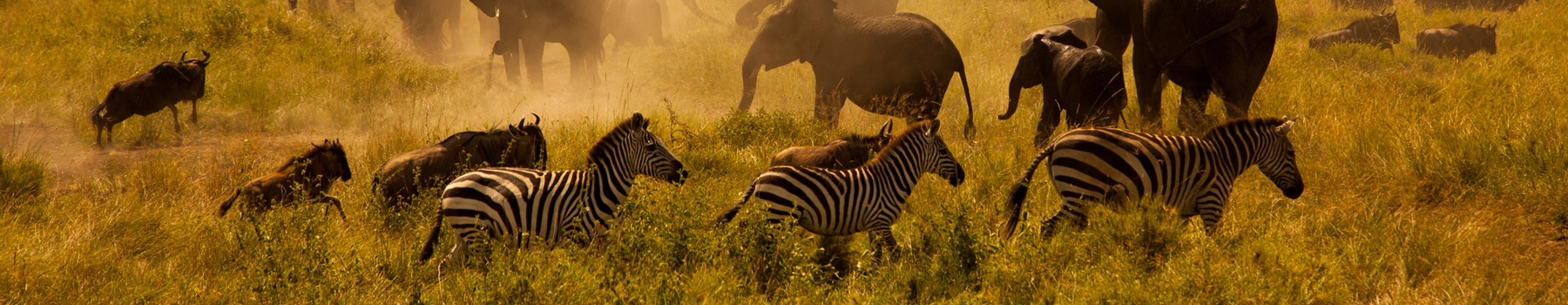Tanzania Secrets