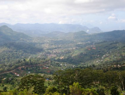 Lushoto Forest Hiking