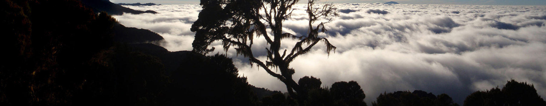 Machame Route