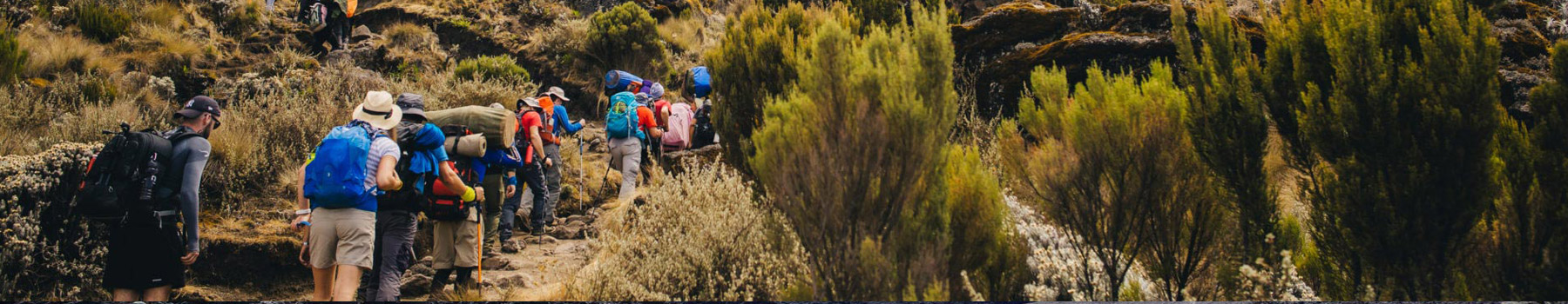 Machame Route