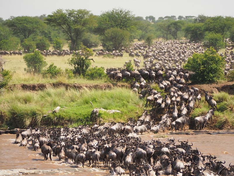 What to Pack for Your First African Safari