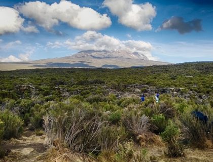 Shira Plateau Hike