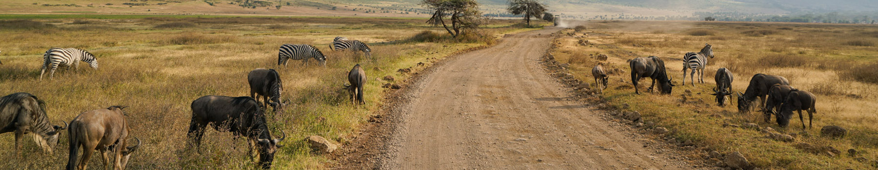 Serengeti